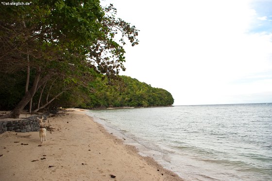 IMGP0913
