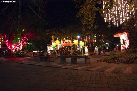 IMGP0934