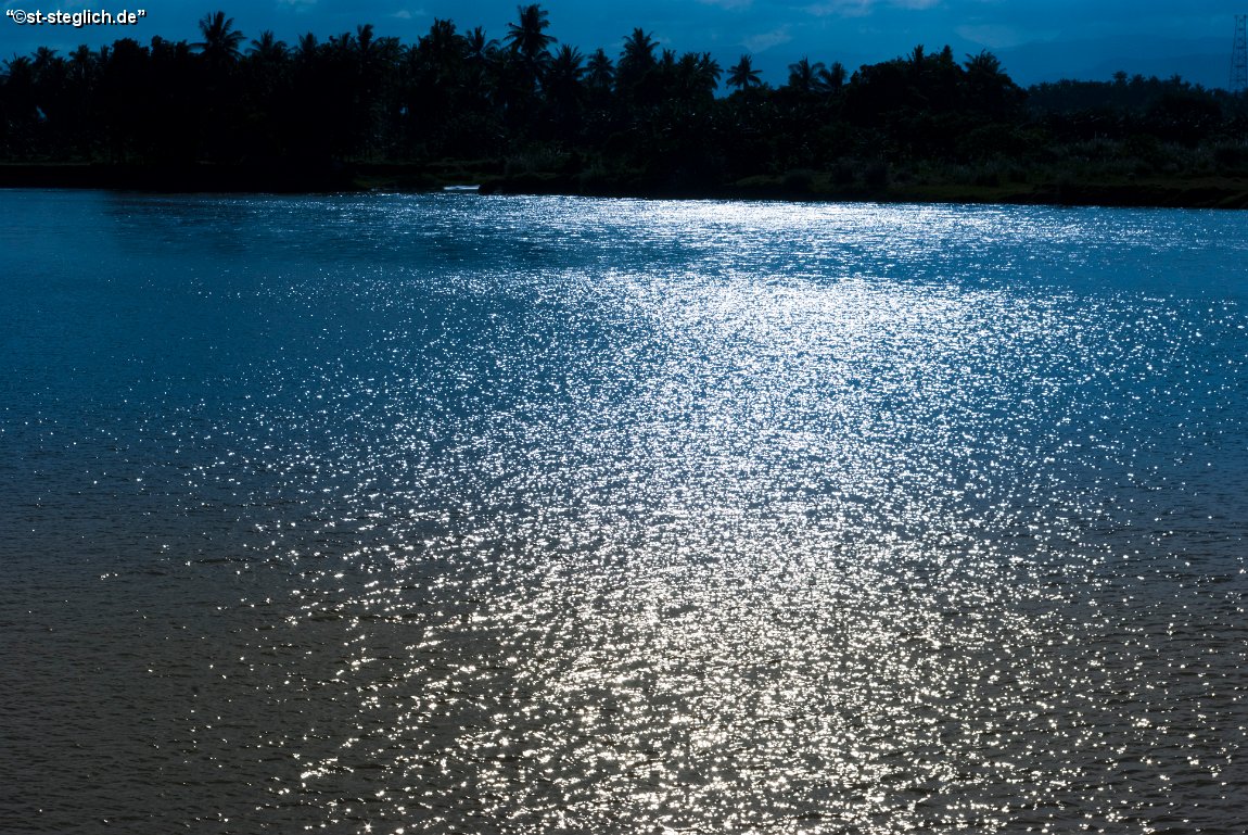 IMGP0629.jpg