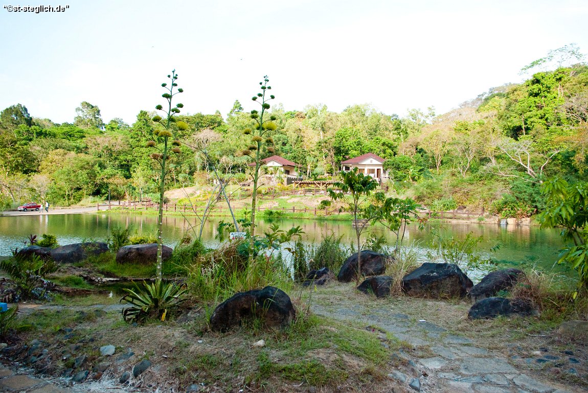 IMGP0719.jpg
