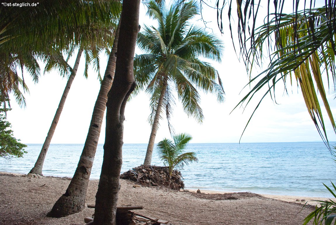 IMGP0912.jpg