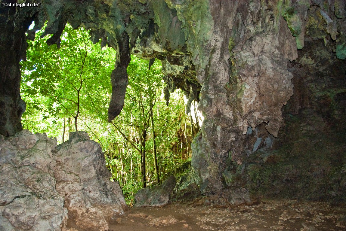 IMGP1061.jpg