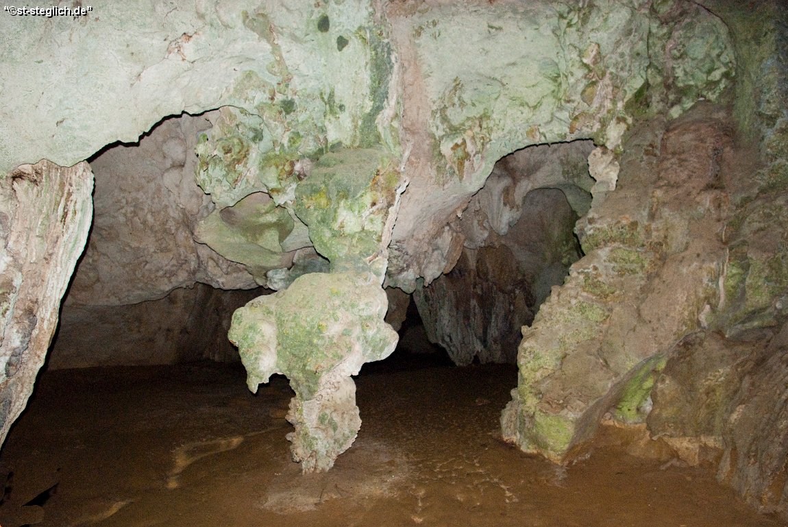 IMGP1065.jpg